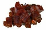 Deep Red Vanadinite Crystal Cluster - Huge Crystals! #157008-1